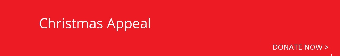 Christmas banner 2025